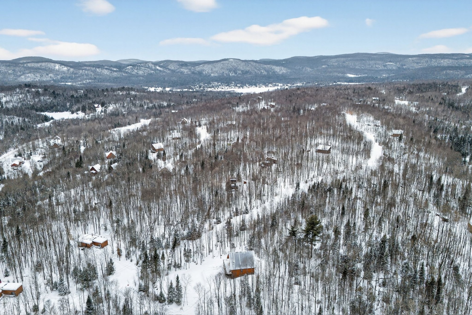 Aerial forest view