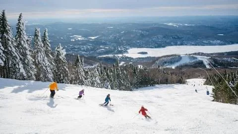 Skier carving through fresh snow near Mont-Tremblant